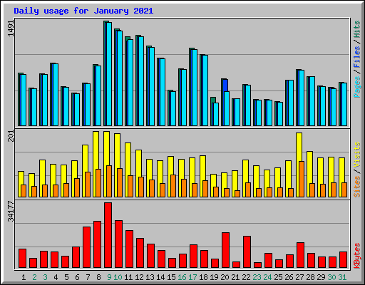 Daily usage for January 2021