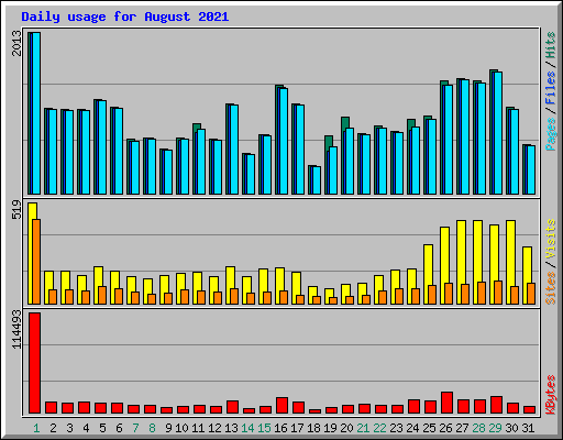 Daily usage for August 2021