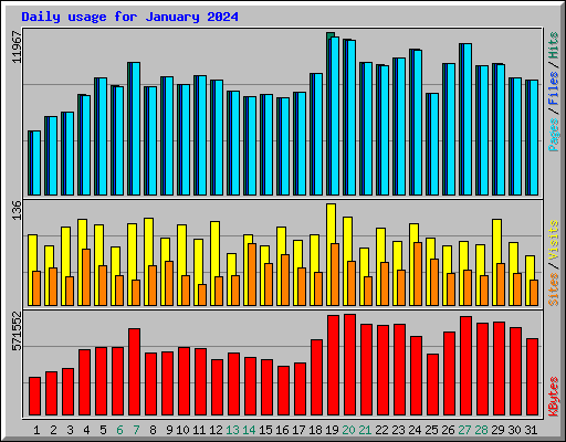 Daily usage for January 2024
