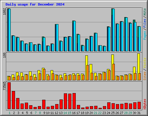 Daily usage for December 2024