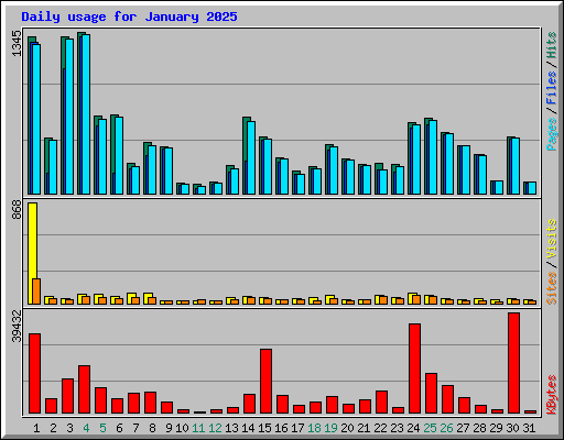 Daily usage for January 2025