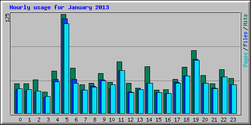 Hourly usage for January 2013