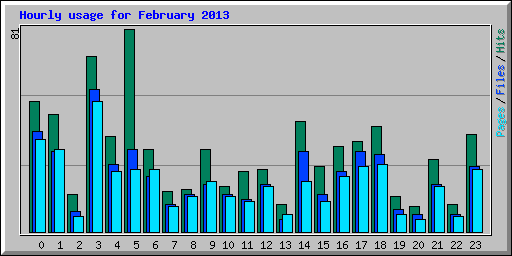 Hourly usage for February 2013