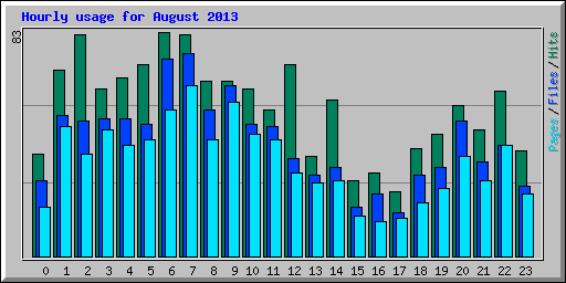 Hourly usage for August 2013
