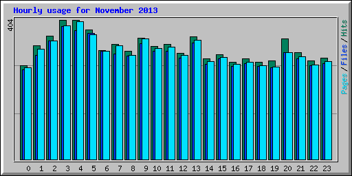 Hourly usage for November 2013