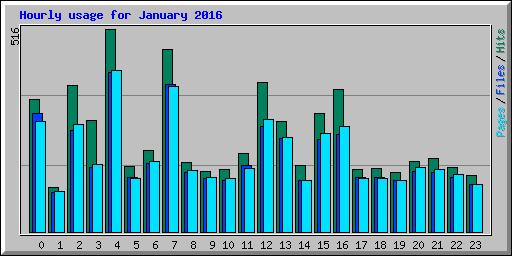 Hourly usage for January 2016