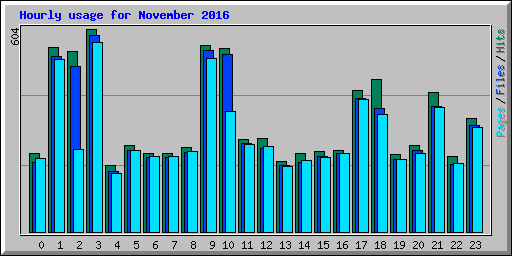 Hourly usage for November 2016