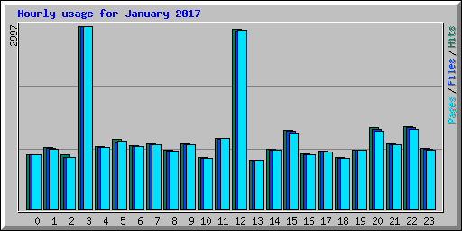 Hourly usage for January 2017