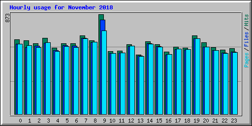 Hourly usage for November 2018