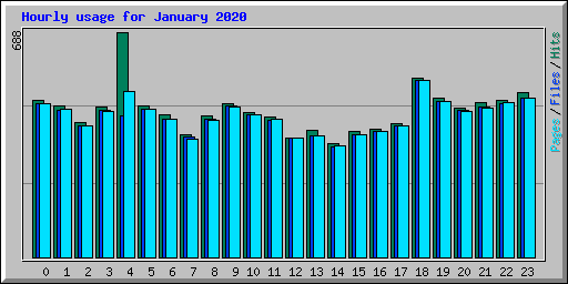 Hourly usage for January 2020