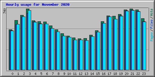 Hourly usage for November 2020