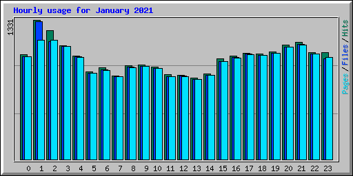 Hourly usage for January 2021