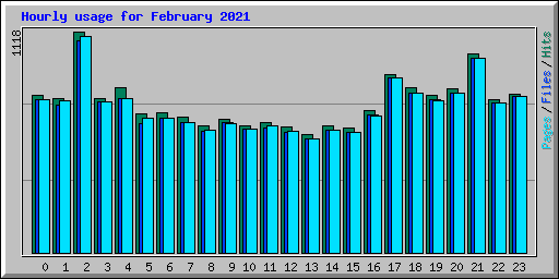 Hourly usage for February 2021