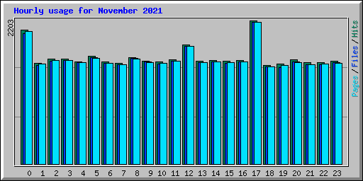 Hourly usage for November 2021