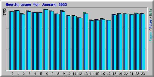 Hourly usage for January 2022