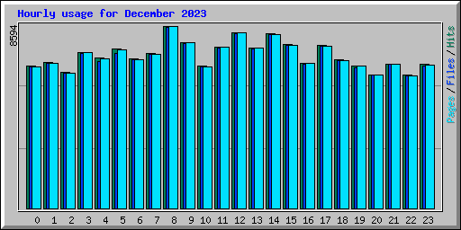 Hourly usage for December 2023