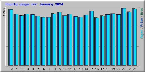 Hourly usage for January 2024
