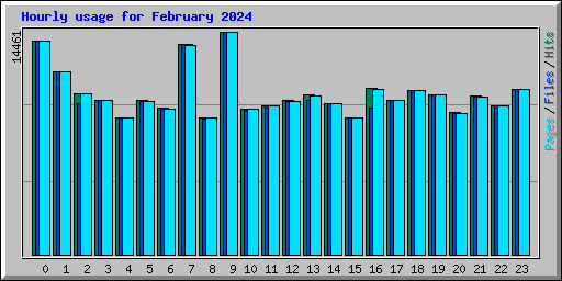 Hourly usage for February 2024