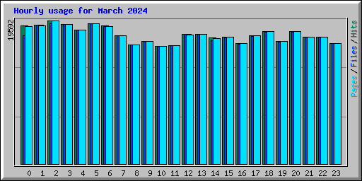 Hourly usage for March 2024