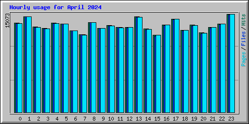 Hourly usage for April 2024