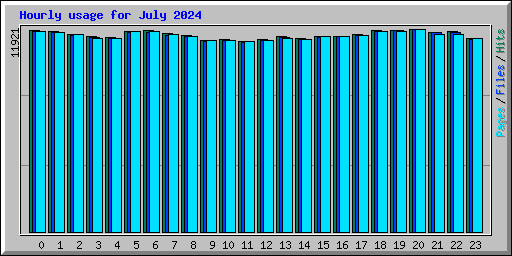 Hourly usage for July 2024