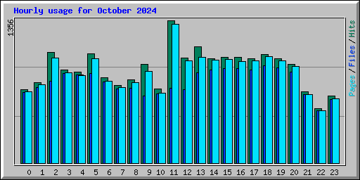 Hourly usage for October 2024