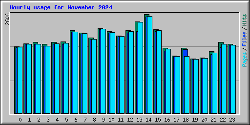 Hourly usage for November 2024