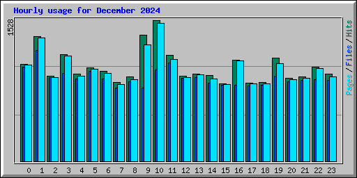 Hourly usage for December 2024