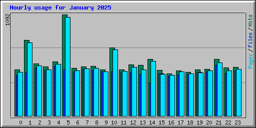 Hourly usage for January 2025