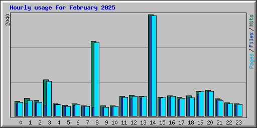 Hourly usage for February 2025