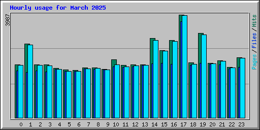 Hourly usage for March 2025