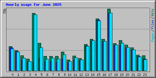 Hourly usage for June 2025