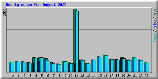 Hourly usage for August 2025